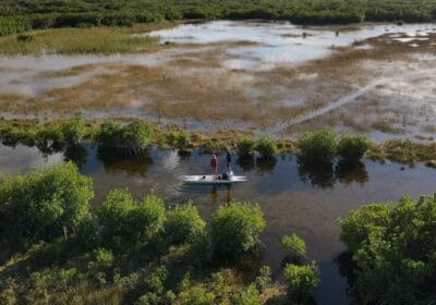 Big Cypress National Preserve Ochopee Florida