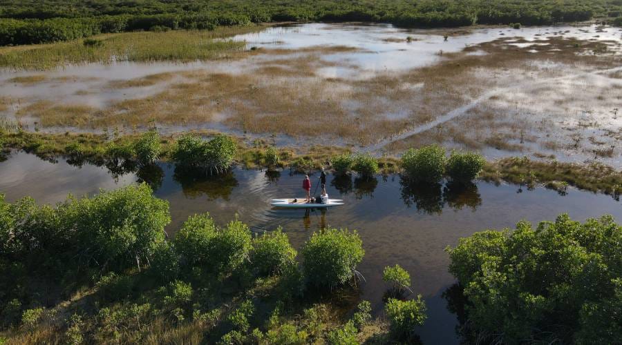 Big Cypress National Preserve Ochopee Florida Big Cypress National Preserve Ochopee Florida