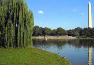 Constitution Gardens