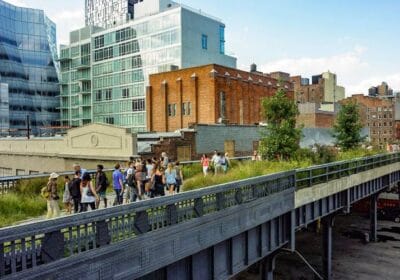 Discover the Elevated Beauty of High Line in New York