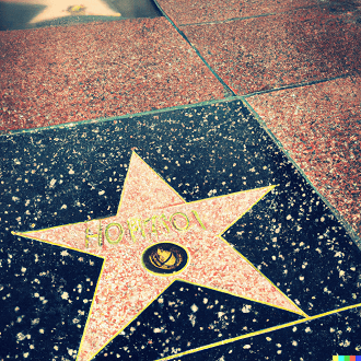 Hollywood Walk of Fame Hollywood Walk of Fame