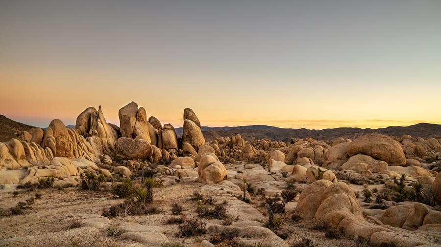 Joshua Tree National Park