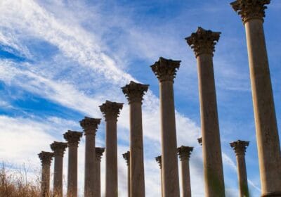 National Arboretum washington dc