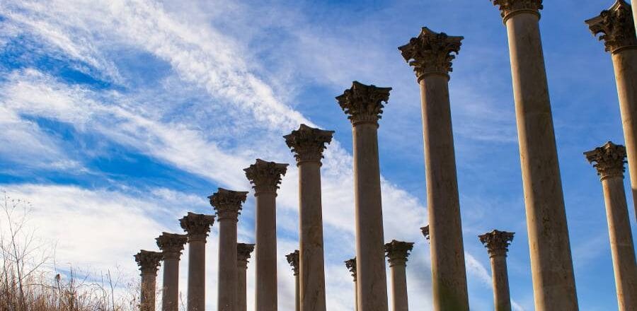 National Arboretum washington dc