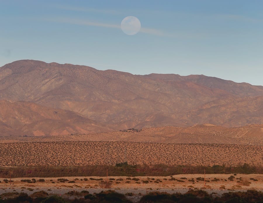 Palm Springs: Desert Oasis