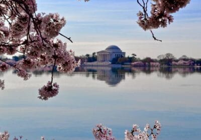 Tidal Basin Washington DC