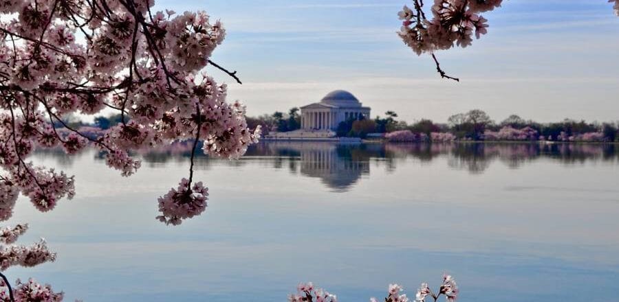 Tidal Basin Washington DC