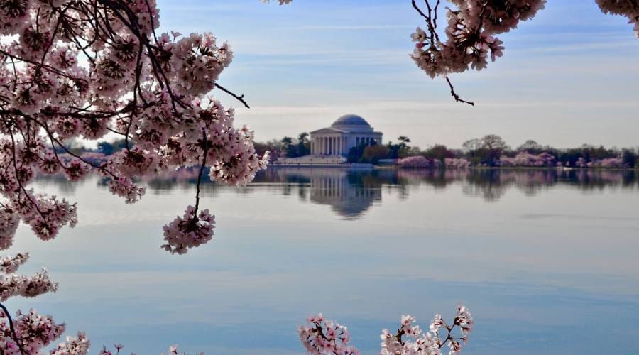 Tidal Basin Washington DC Tidal Basin Washington DC