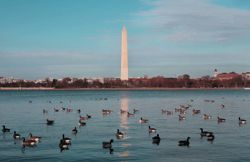 Washington Monument Washington Monument