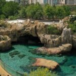 Exploring the Wonders of Houston Zoo