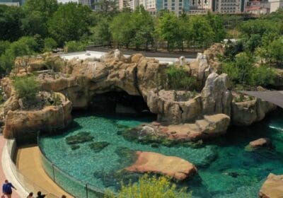 Exploring the Wonders of Houston Zoo