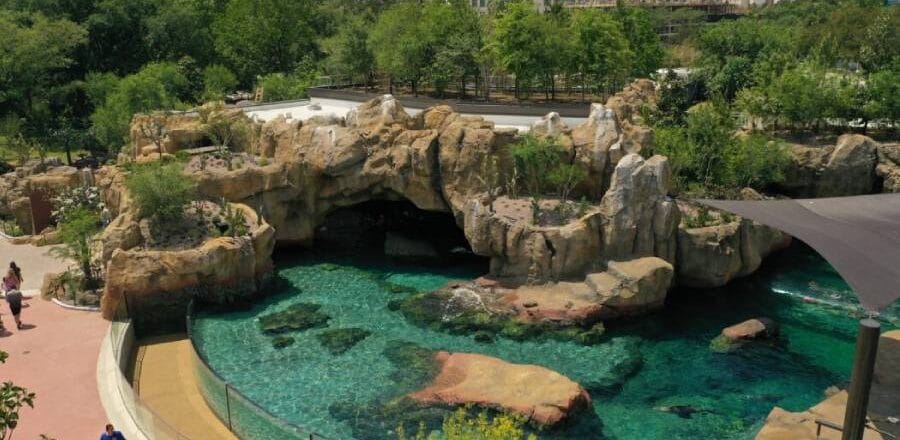 Exploring the Wonders of Houston Zoo