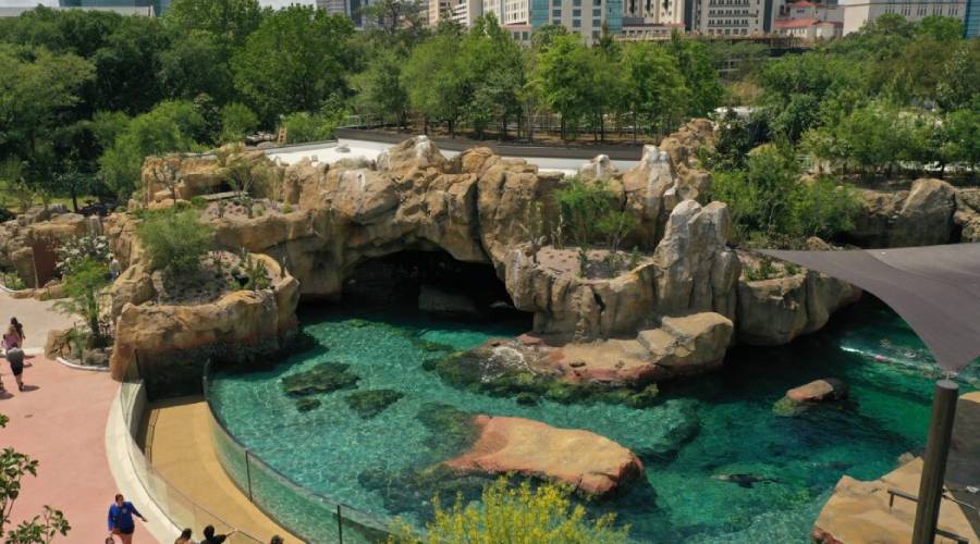 Exploring the Wonders of Houston Zoo