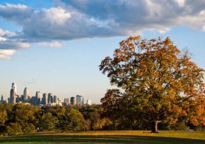 Fairmount Park A Natural Oasis in the Heart of Philadelphia