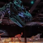Houston Museum of Natural Science