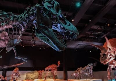 Houston Museum of Natural Science