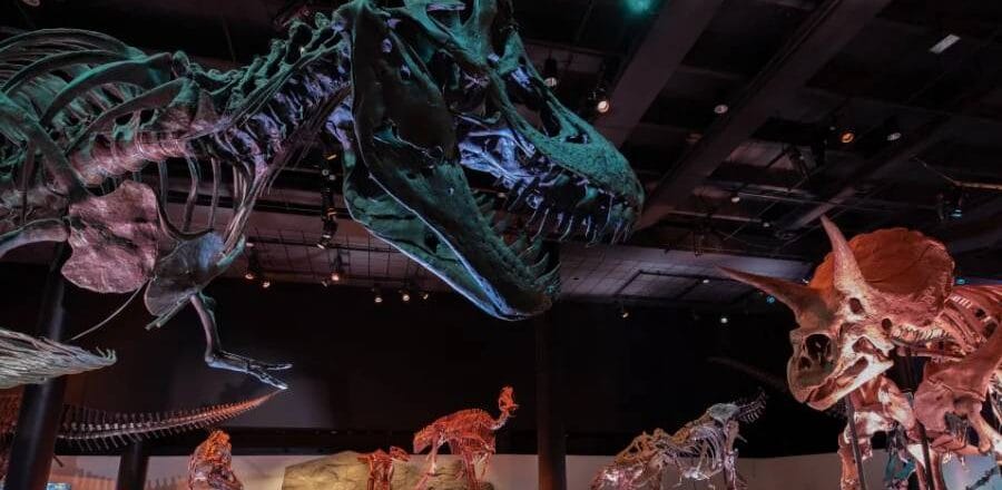Houston Museum of Natural Science