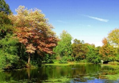 Prospect Park: Brooklyn's Natural Oasis of Beauty and History