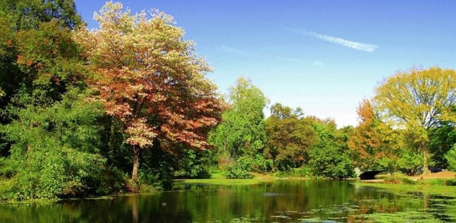 Prospect Park: Brooklyn's Natural Oasis of Beauty and History