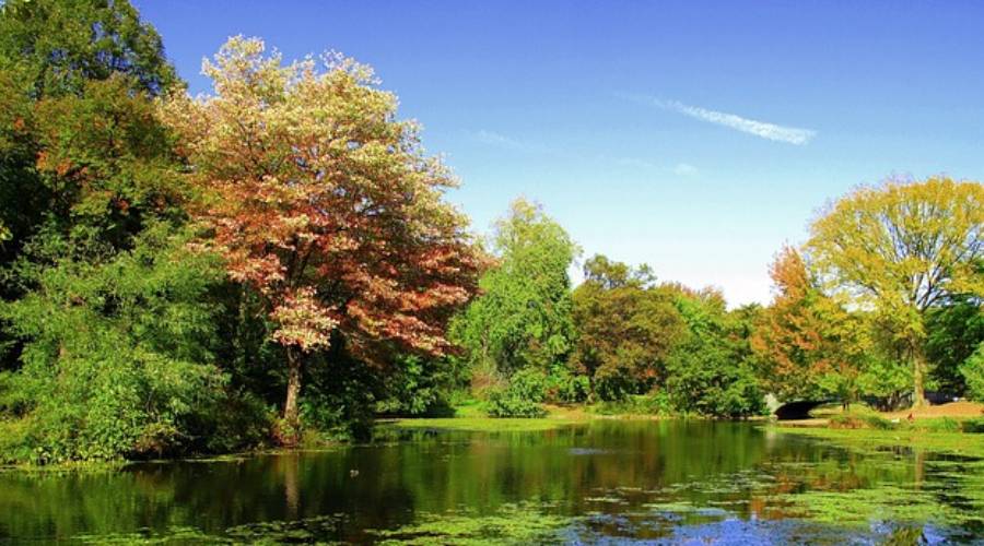 Prospect Park: Brooklyn's Natural Oasis of Beauty and History Prospect Park: Brooklyn's Natural Oasis of Beauty and History